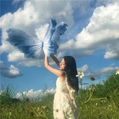 兔年
